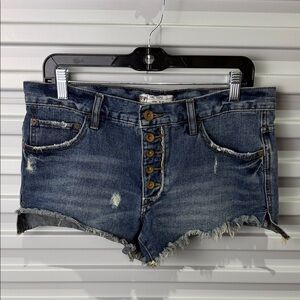 Free People Distressed Blue Jean Shorts 27